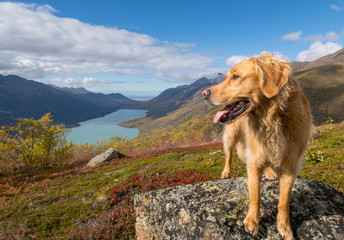 Fototapeta premium Eklutna Barley