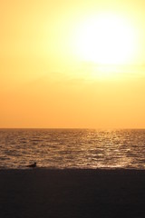 sunset at the sea