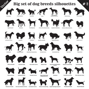 Vector dogs silhouettes 2