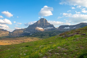 Fototapeta premium Wildflowers łąki w górach na letnim dniu w Montana
