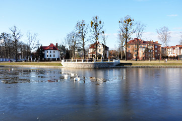 Fototapeta premium View of the lake with wild birds in early spring, in the background beautiful large rich houses, the city of Kaliningrad, March 2019.