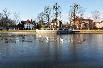 Fototapeta na wymiar View of the lake with wild birds in early spring, in the background beautiful large rich houses, the city of Kaliningrad, March 2019.