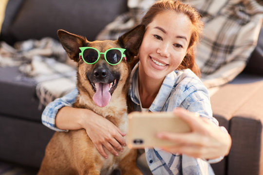 Portrait of smiling Asian woman taking selfie with dog wearing sunglasses, copy space