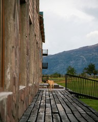 Wet wood wrap around patio, with stone hotel building and dog at the end