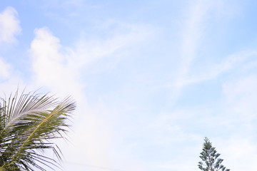 blue sky and clouds