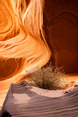 Glowing orange light spills into a dark Arizona slot canyon accented by sand and a tumbleweed. This shot exlimplifies the spirit of the southwest