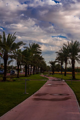 Obraz premium road in the park