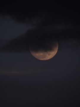 Luna lobuna...😎😎😎