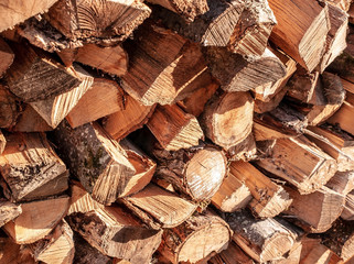 Cut and stacked fire wood in bright sunshine