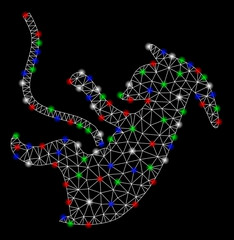Bright mesh alien embryo with glow effect. White wire frame triangular mesh in vector format on a black background. Abstract 2d mesh designed with triangular lines, dots, colorful flash spots.