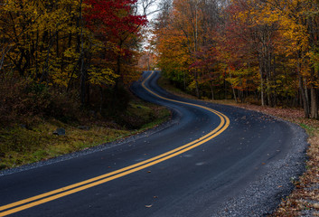 West Virginia curved asphalt road during peak fall colors with colorful tree and forest foliage.