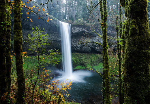 Beautiful Oregon waterfall spills into a cool pool of water. Surrounded by lush moss covered trees, the autumn leaves give a serenity to the scene. Fall is captured in a single artistic frame.