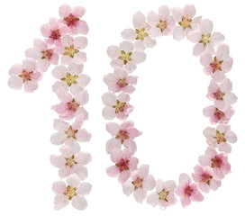 Numeral 10, ten, from natural pink flowers of peach tree, isolated on white background