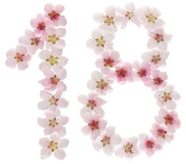 Fototapeta na wymiar Numeral 18, eighteen, from natural pink flowers of peach tree, isolated on white background