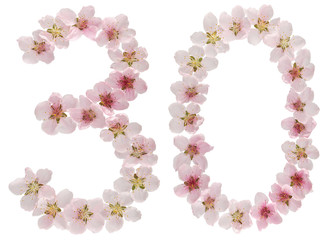 Numeral 30, thirty, from natural pink flowers of peach tree, isolated on white background