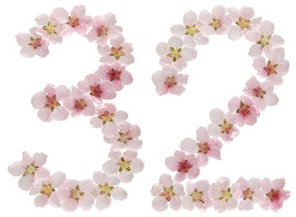 Numeral 32, thirty two, from natural pink flowers of peach tree, isolated on white background
