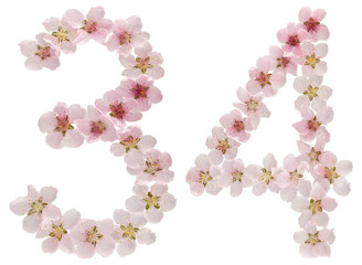 Numeral 34, thirty four, from natural pink flowers of peach tree, isolated on white background