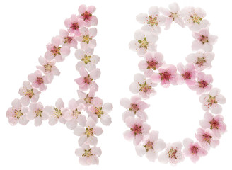 Numeral 48, forty eight, from natural pink flowers of peach tree, isolated on white background