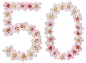 Numeral 50, fifty, from natural pink flowers of peach tree, isolated on white background