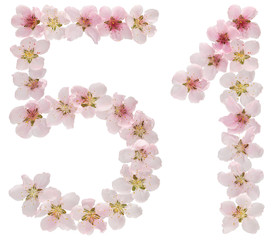 Numeral 51, fifty one, from natural pink flowers of peach tree, isolated on white background