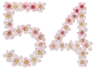 Numeral 54, fifty four, from natural pink flowers of peach tree, isolated on white background
