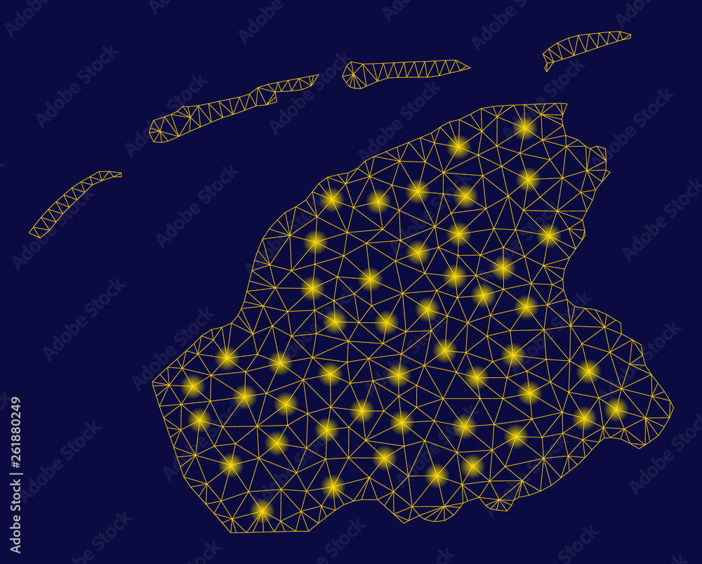 Poster bright yellow mesh friesland province map with glow effect. wire frame polygonal mesh in vector eps1
