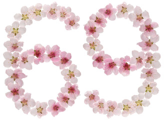 Numeral 69, sixty nine, from natural pink flowers of peach tree, isolated on white background