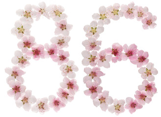 Numeral 86, eighty six, from natural pink flowers of peach tree, isolated on white background