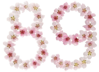 Numeral 89, eighty nine, from natural pink flowers of peach tree, isolated on white background