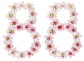 Numeral 88, eighty eight, from natural pink flowers of peach tree, isolated on white background