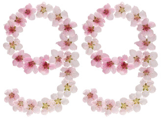 Numeral 99, ninety nine, from natural pink flowers of peach tree, isolated on white background
