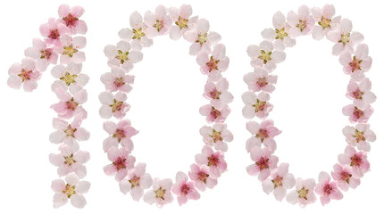 Numeral 100, one hundred, from natural pink flowers of peach tree, isolated on white background