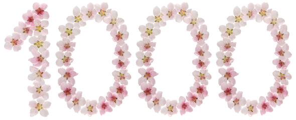Numeral 1000, one thousand, from natural pink flowers of peach tree, isolated on white background