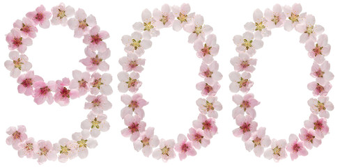 Numeral 900, nine hundred, from natural pink flowers of peach tree, isolated on white background