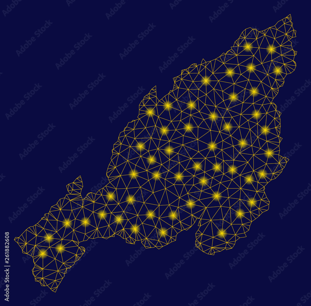 Poster bright yellow mesh nagaland state map with glare effect. wire carcass polygonal mesh in vector eps10