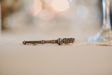 Skeleton key on flat surface bokeh