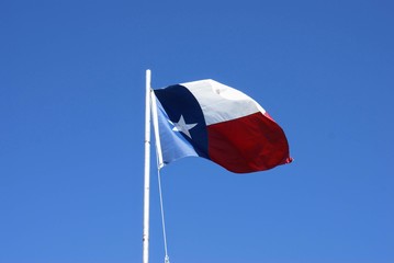 Texas Flag