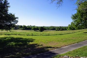 Texas Wildflowers and Nature