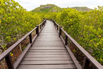 Obraz premium Wooden bridge the forest mangrove at Petchaburi, Thailand