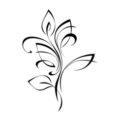 decorative twig with leaves in black lines on a white background