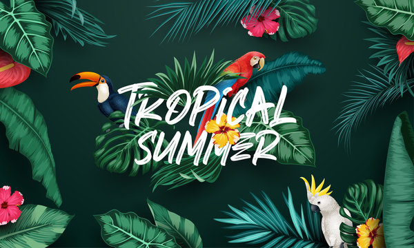 Birds collection and tropical plants background