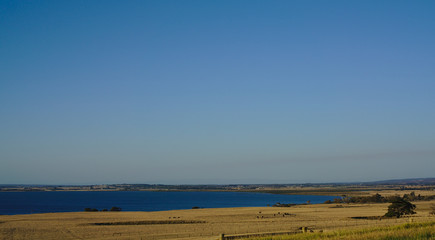 Distant view of blue sea and dry grass in country side