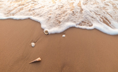 Closeup seashells on the beach with motion blur wave