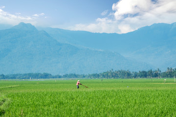 Farmer with beautiful mountain background