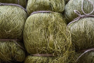 Rolled nylon mesh. Grid on the shop window. Fishing net