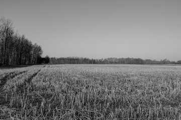 Landschaftsaufnahme Mitterkirchen im Machland in Ober&ouml;sterreich / &Ouml;sterreich