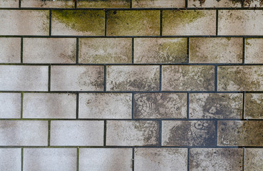 Textur modriger Fliesen auf Balkon mit Grünspan