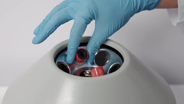 Putting blood sample tubes with specimens in centrifuge machine