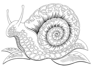 Snail doodle graphic black white isolated sketch illustration vector