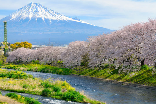 龍厳淵の桜 の画像 192 件の Stock 写真 ベクターおよびビデオ Adobe Stock